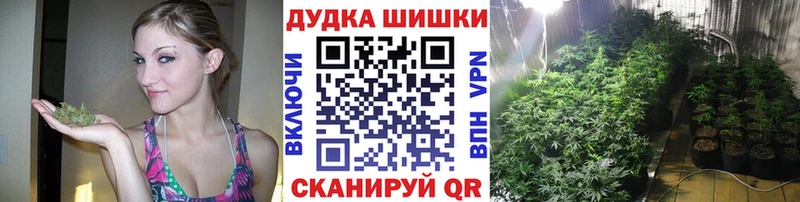 как найти   Облучье  Каннабис Amnesia 